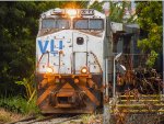 VLI 6184